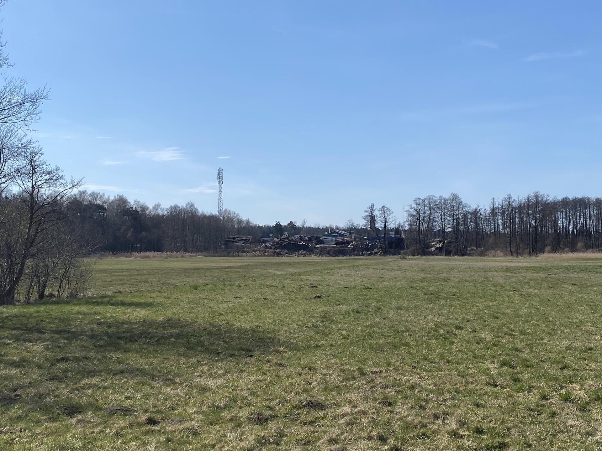 Widok wzdłuż polnej drogi