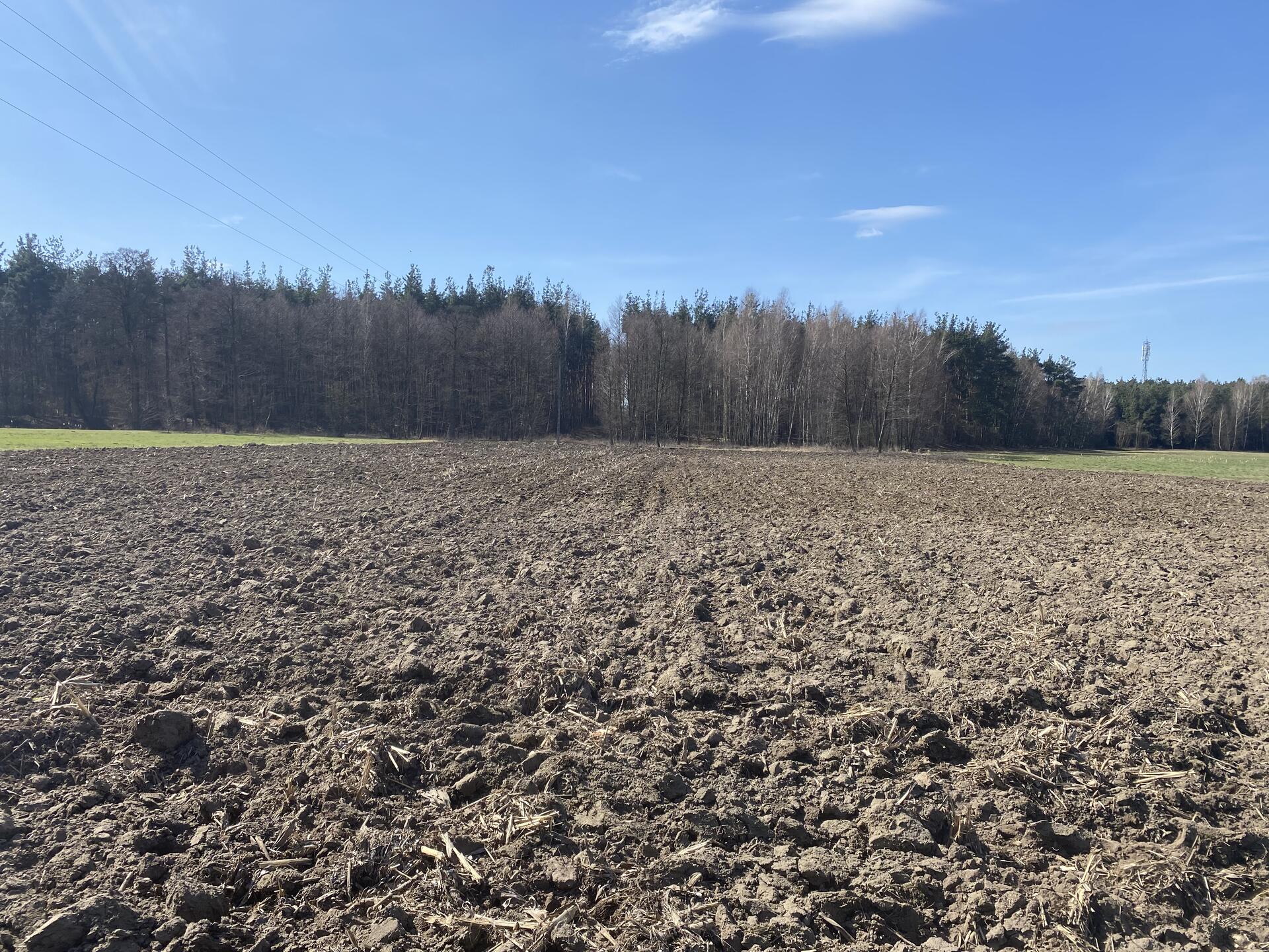 Zbliżając się do kościoła