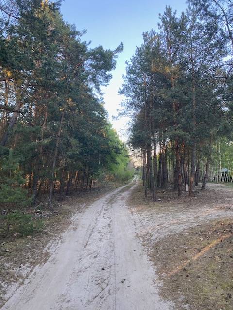 Piaszczysta droga